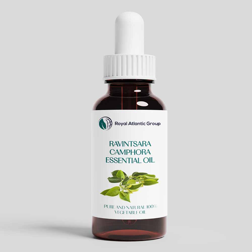 Ravintsara Camphora Essential Oil Ravintsara Camphora Essential Oil